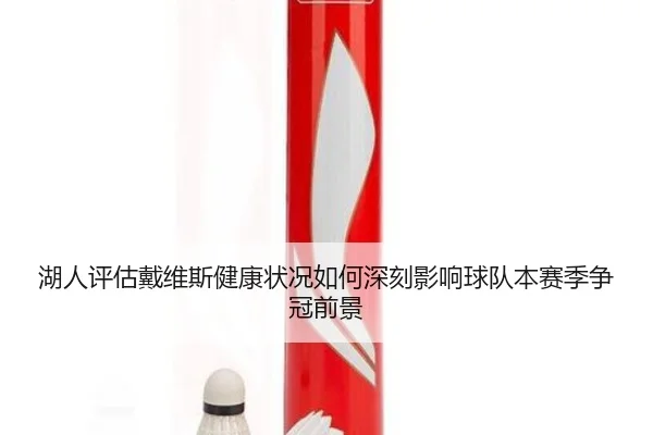 湖人评估戴维斯健康状况如何深刻影响球队本赛季争冠前景